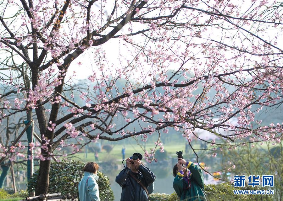 新中式茶品牌「吞岩」实现300万元天使轮融资，仅建树一个月